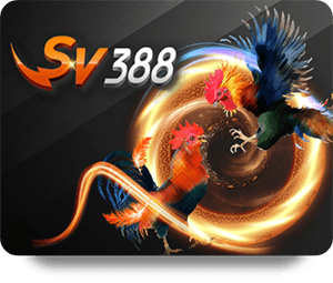 Tin Tức Mới Nhất Về 78Win Bóng Đá Pro Trong Năm Nay